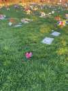 Fracciones de Cementerio