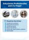 Servicios Profesionales